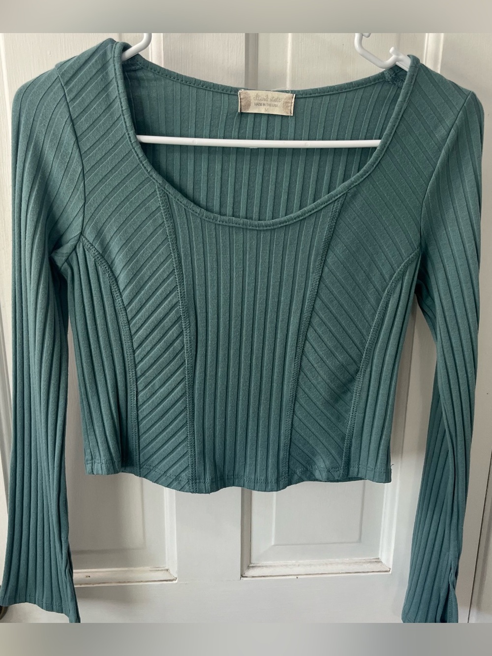 Altar'd State Ribbed Long Sleeve Cropped Corset Top. Women’s size medium